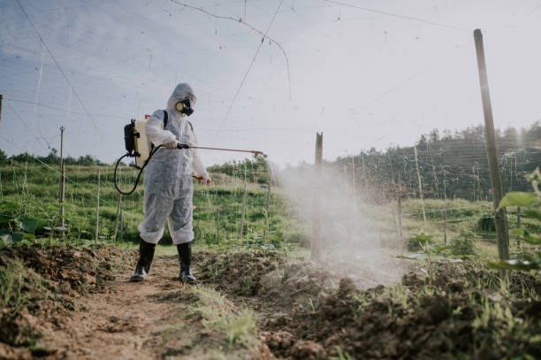 Best Mosquito Control Services  in De Graff, OH