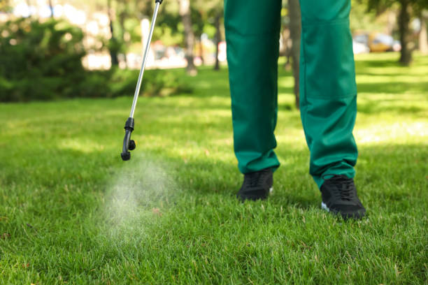 Best Best Pest Control Companies  in De Graff, OH