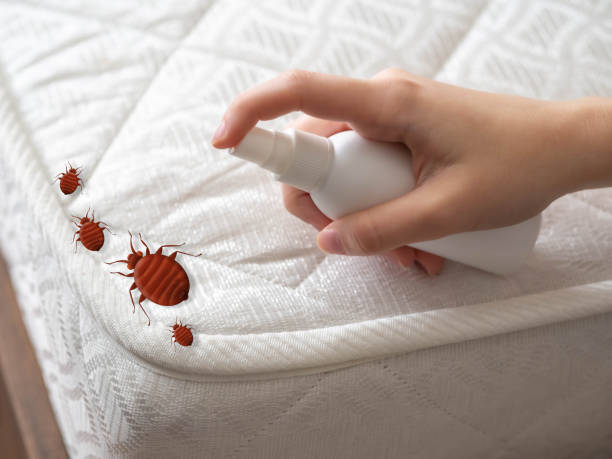 Best Exterminator Services  in De Graff, OH