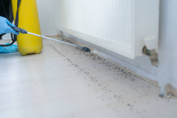Professional Pest Control in De Graff, OH