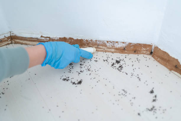 Best Wildlife Control Services  in De Graff, OH